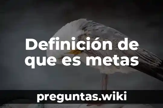 Definición de que es metas
