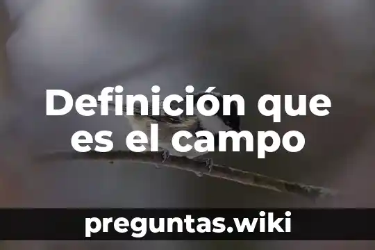 Definición que es el campo