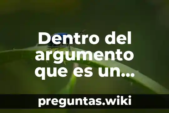 Dentro del argumento que es un problema o pregunta