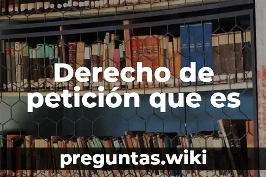 Derecho de petición que es