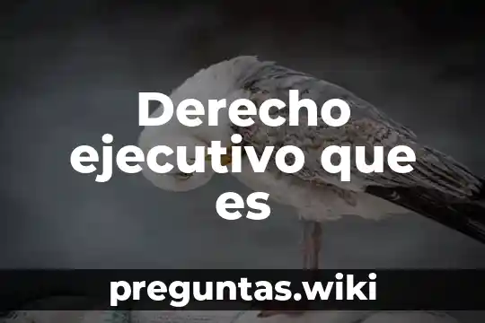 Derecho ejecutivo que es