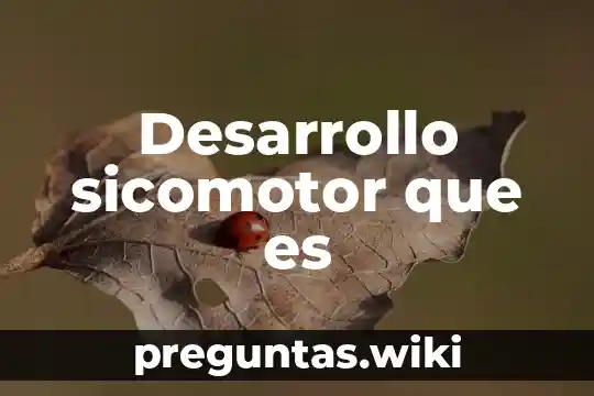 Desarrollo sicomotor que es