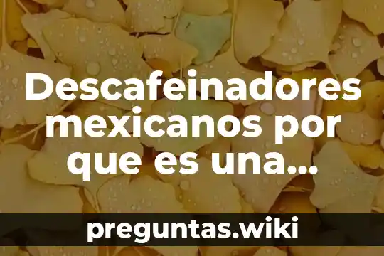 Descafeinadores mexicanos por que es una empresa socialmente responsable