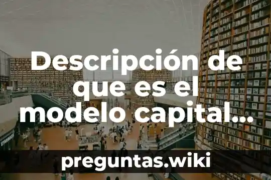 Descripción de que es el modelo capital de asset