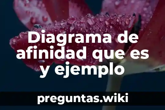 Diagrama de afinidad que es y ejemplo