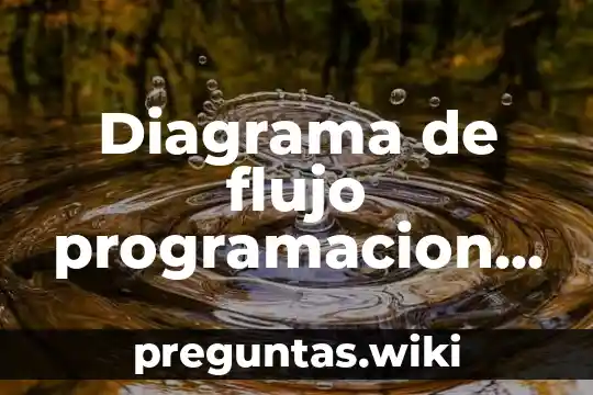 Diagrama de flujo programacion que es