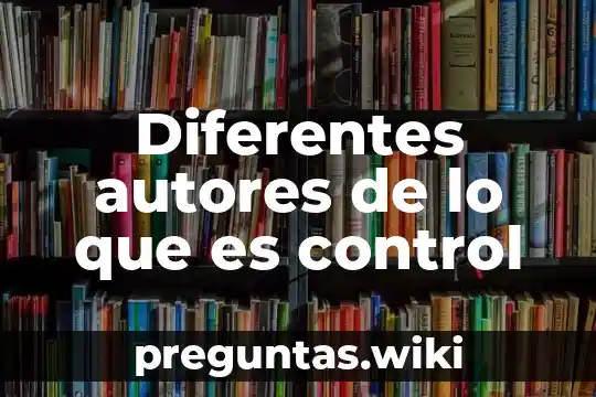 Diferentes autores de lo que es control