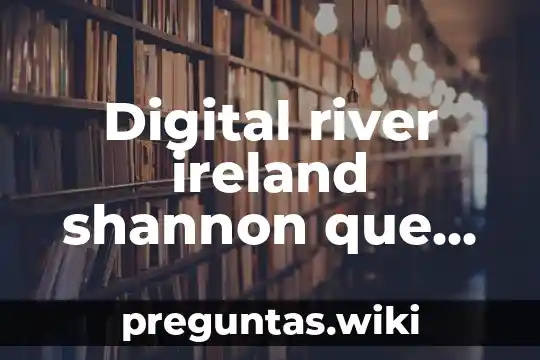 Digital river ireland shannon que es