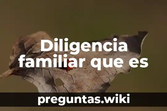Diligencia familiar que es