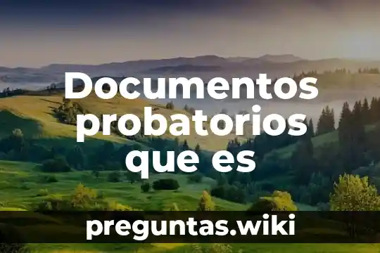 Documentos probatorios que es
