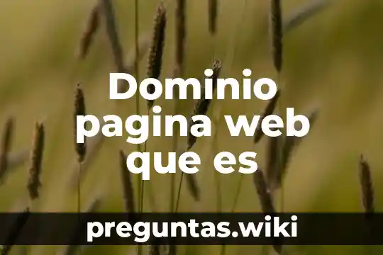 Dominio pagina web que es