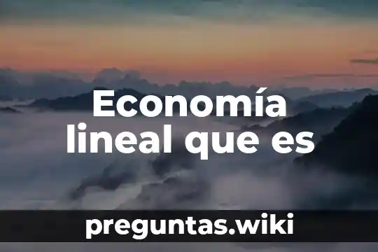 Economía lineal que es