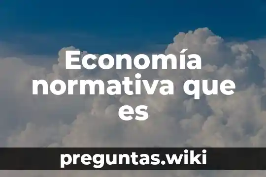 Economía normativa que es