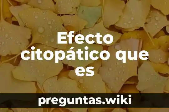 Efecto citopático que es
