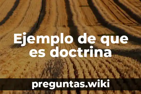 Ejemplo de que es doctrina