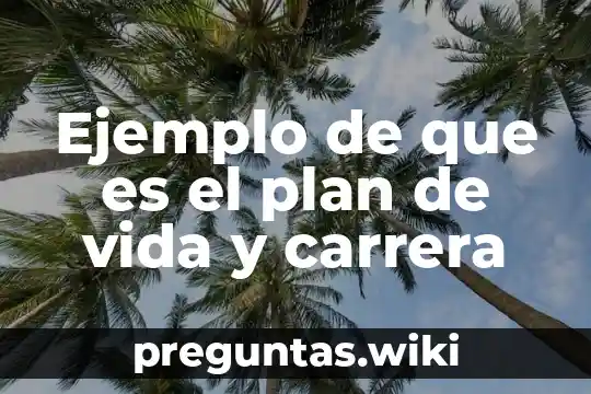 Ejemplo de que es el plan de vida y carrera