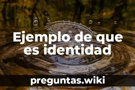 Ejemplo de que es identidad