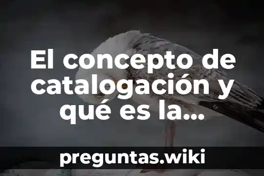 El concepto de catalogación y qué es la catalogación bibliográfica
