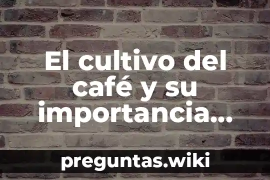 El cultivo del café y su importancia global