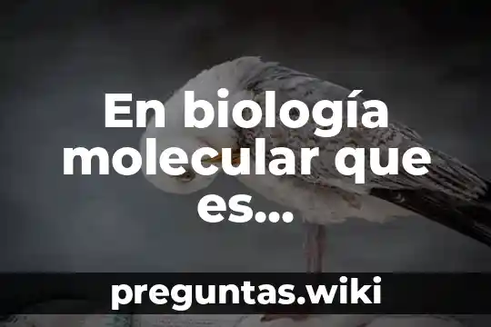 En biología molecular que es transducción de señales