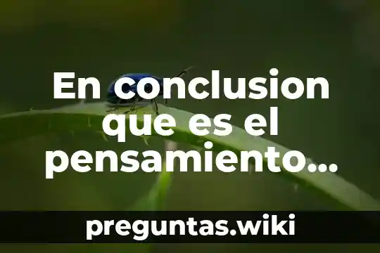 En conclusion que es el pensamiento logico matematico