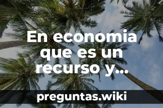 En economia que es un recurso y cuales tipos son