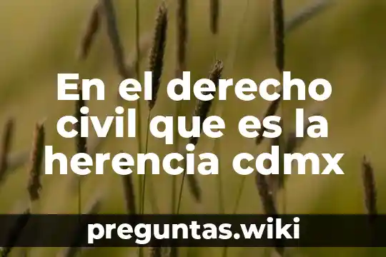En el derecho civil que es la herencia cdmx