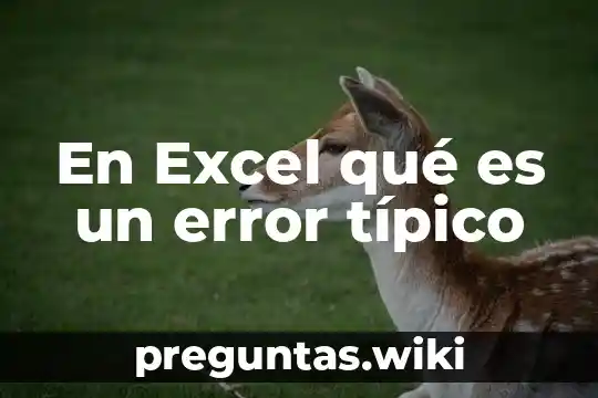 En Excel qué es un error típico