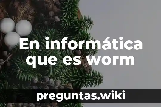 En informática que es worm