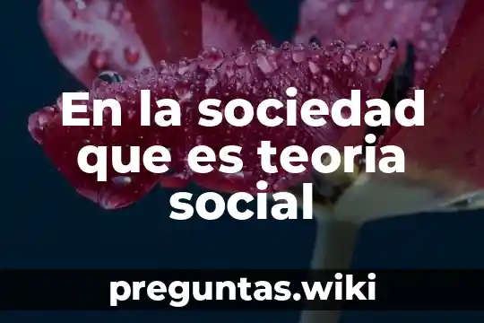 En la sociedad que es teoria social