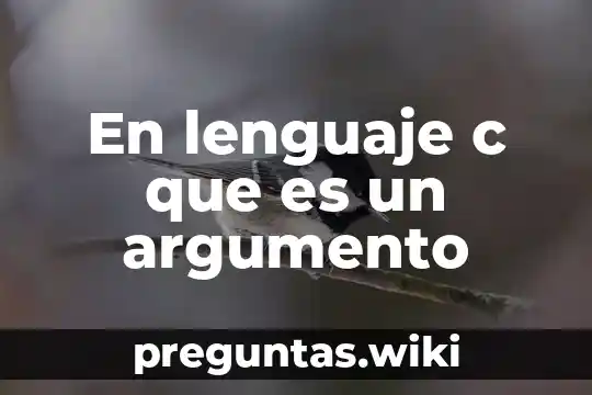 En lenguaje c que es un argumento