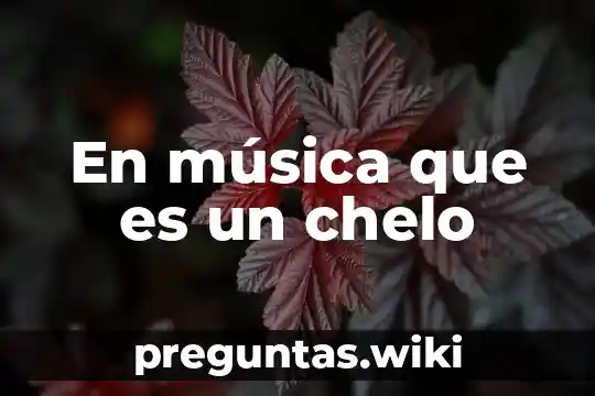 En música que es un chelo