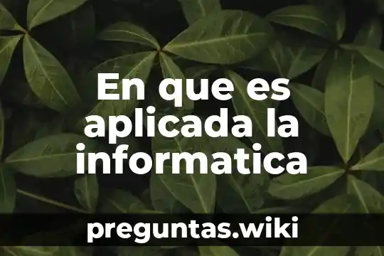 En que es aplicada la informatica