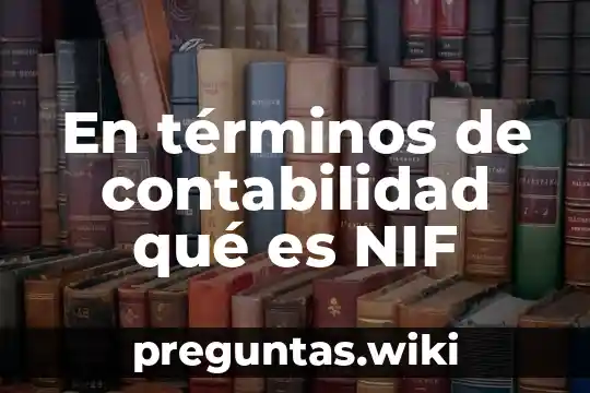 En términos de contabilidad qué es NIF