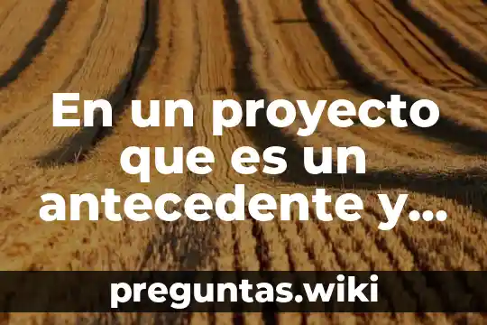 En un proyecto que es un antecedente y fundamentos