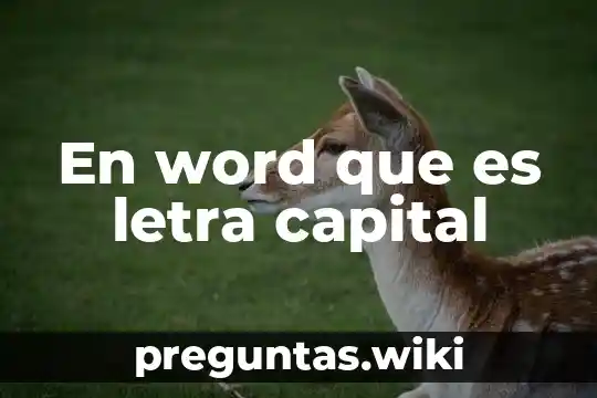 En word que es letra capital