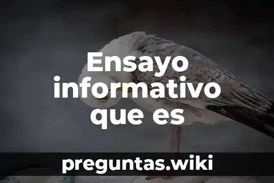 Ensayo informativo que es