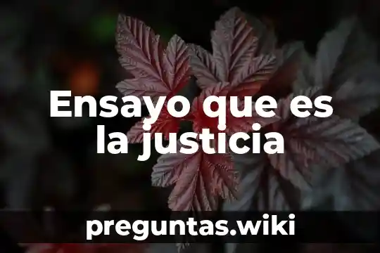 Ensayo que es la justicia