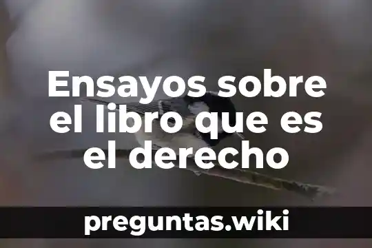 Ensayos sobre el libro que es el derecho