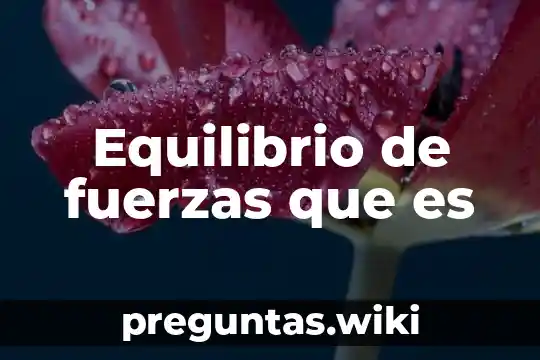 Equilibrio de fuerzas que es