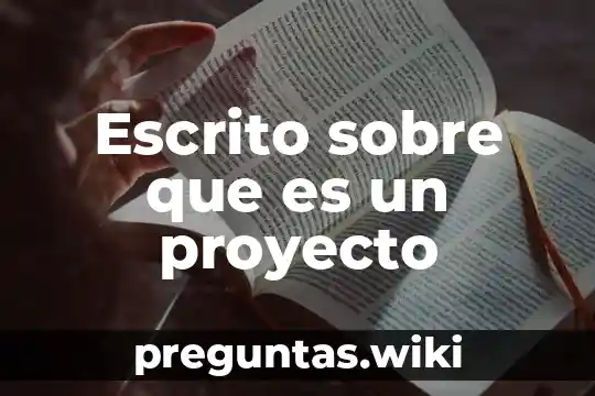 Escrito sobre que es un proyecto