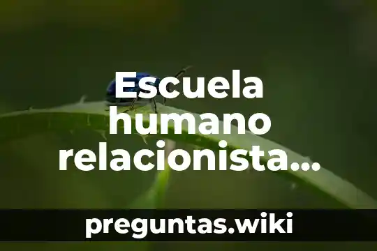 Escuela humano relacionista que es