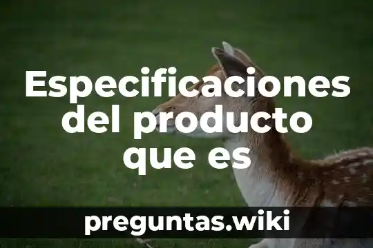 Especificaciones del producto que es