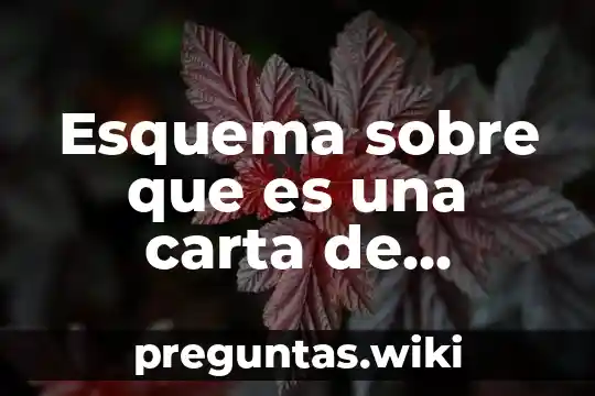 Esquema sobre que es una carta de opinion