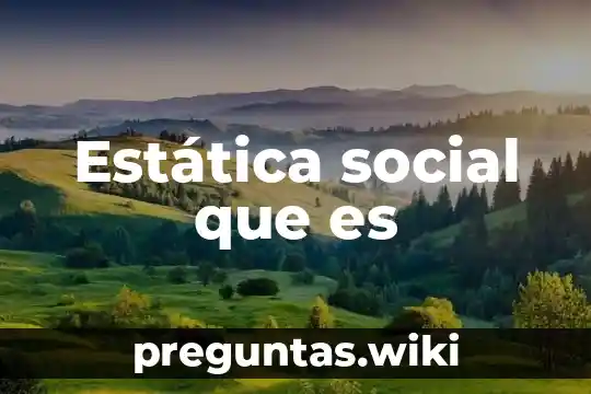Estática social que es