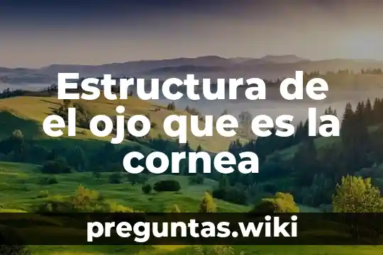 Estructura de el ojo que es la cornea