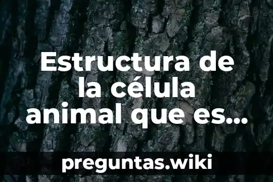 Estructura de la célula animal que es su ribosomas