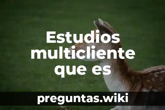Estudios multicliente que es