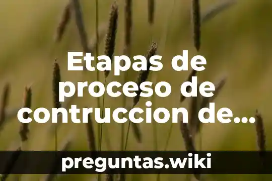 Etapas de proceso de contruccion de la historia que es