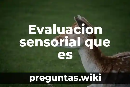 Evaluacion sensorial que es